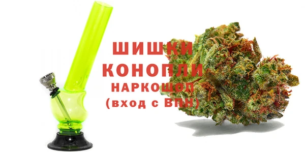PSILOCYBIN Алзамай