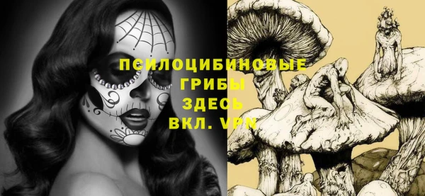 PSILOCYBIN Алзамай