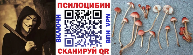 Псилоцибиновые грибы ЛСД  ссылка на мегу сайт  Байкальск 